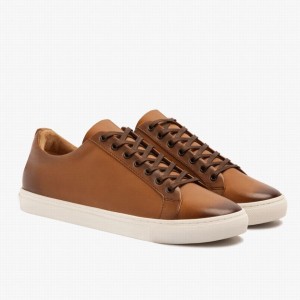 Thursday Boots Premier Lage Sneakers Heren Toffee | ABS9414YT