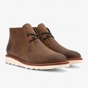 Thursday Boots Scout Chukka Laarzen Heren Safari | PEA6256YT