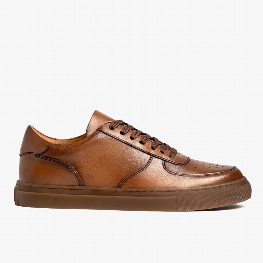 Thursday Boots Court Lage Sneakers Heren Toffee | XGY234AQ