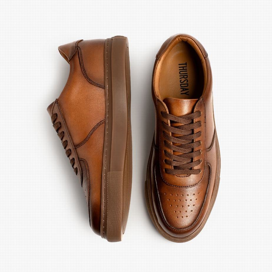 Thursday Boots Court Lage Sneakers Heren Toffee | XGY234AQ