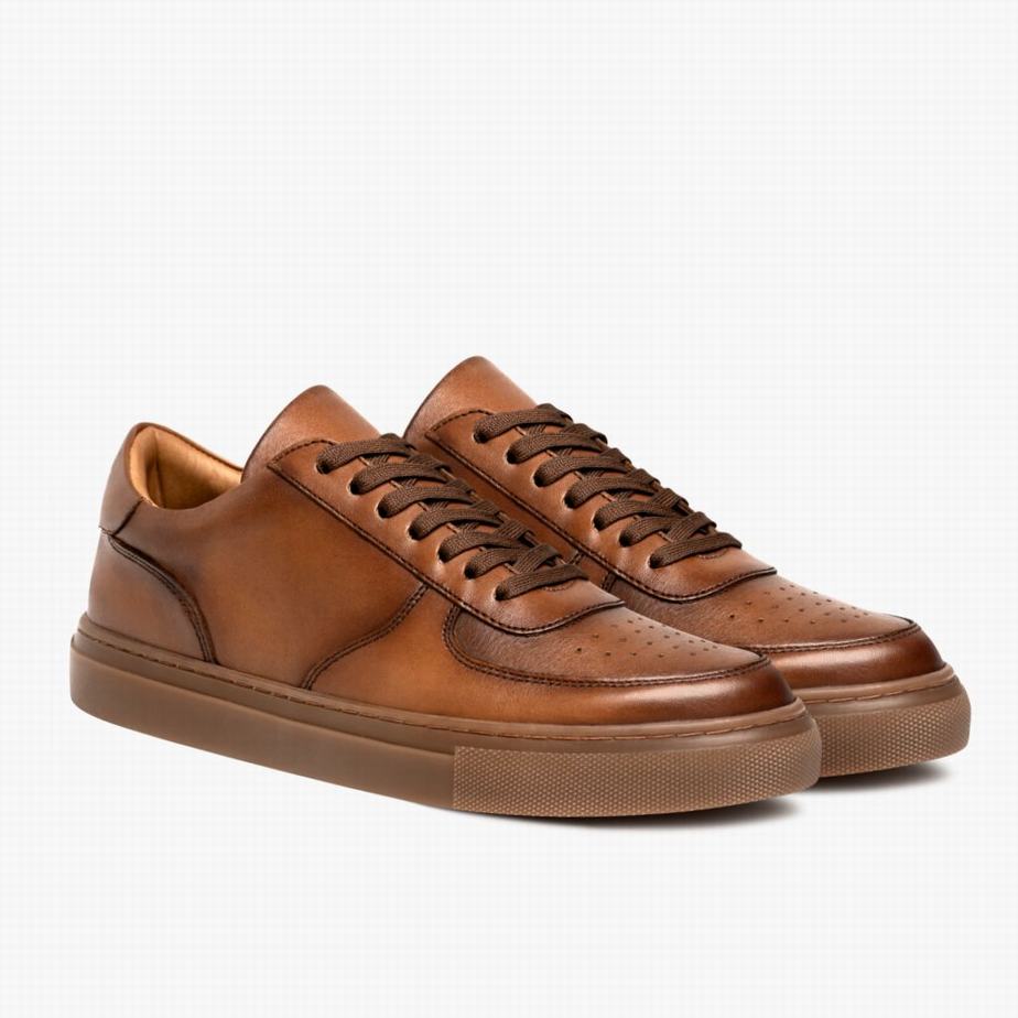 Thursday Boots Court Lage Sneakers Heren Toffee | XGY234AQ