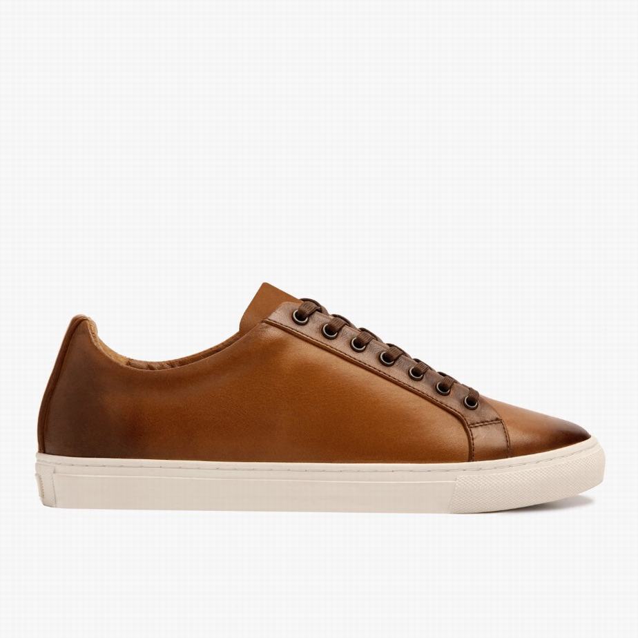 Thursday Boots Premier Lage Sneakers Dames Toffee | KAT2460QR