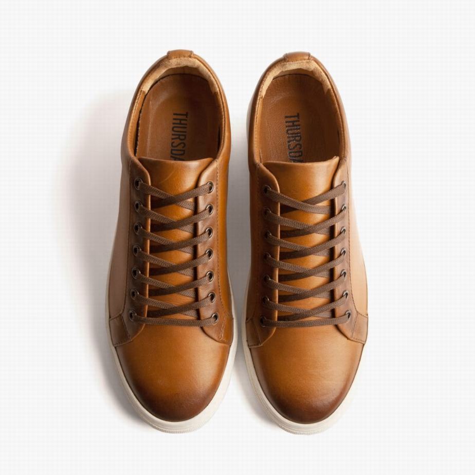 Thursday Boots Premier Lage Sneakers Dames Toffee | KAT2460QR