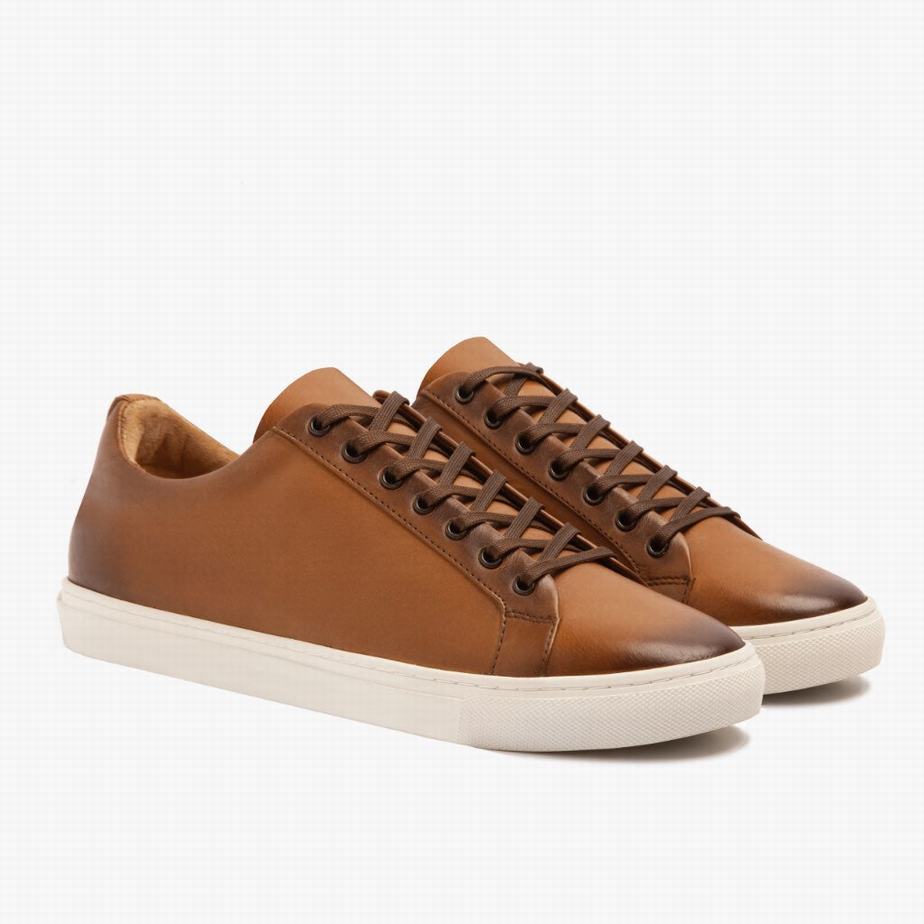 Thursday Boots Premier Lage Sneakers Dames Toffee | KAT2460QR