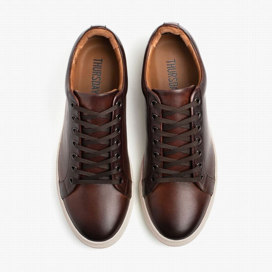 Thursday Boots Premier Lage Sneakers Heren Koffie | CIT231RW