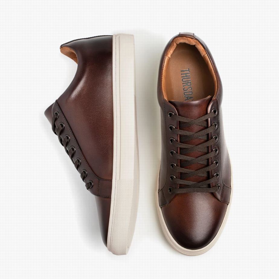 Thursday Boots Premier Lage Sneakers Heren Koffie | CIT231RW