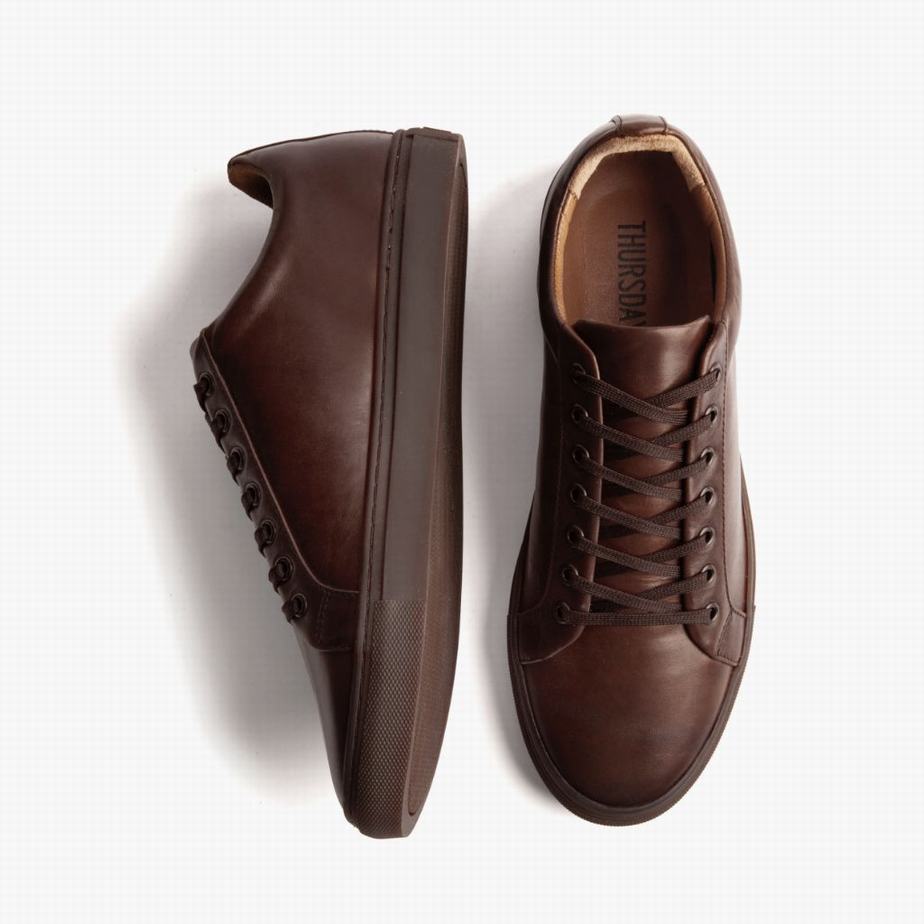 Thursday Boots Premier Lage Sneakers Heren Old English | PTN9021ST