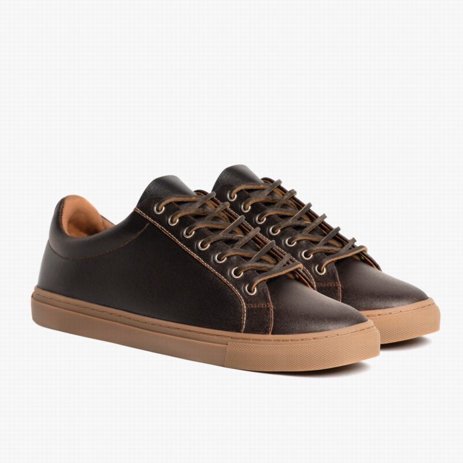 Thursday Boots Premier Lage Sneakers Heren Cacao | EIF2415FW