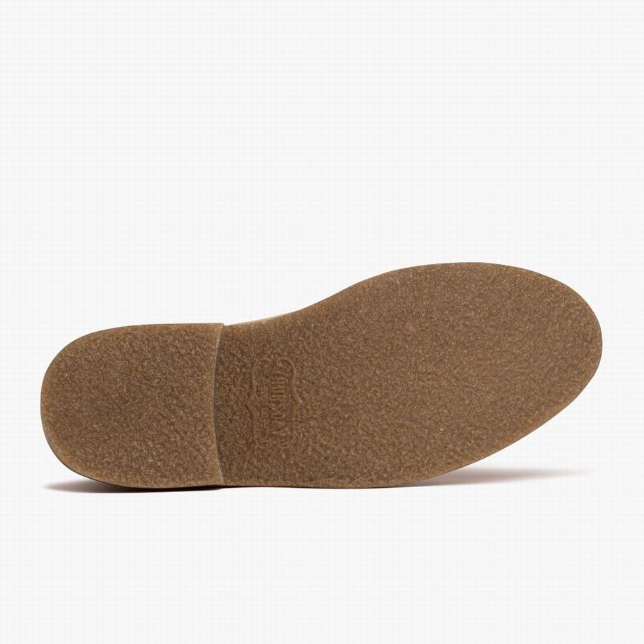 Thursday Boots Scout Chukka Laarzen Heren Dune | NXY5519NW