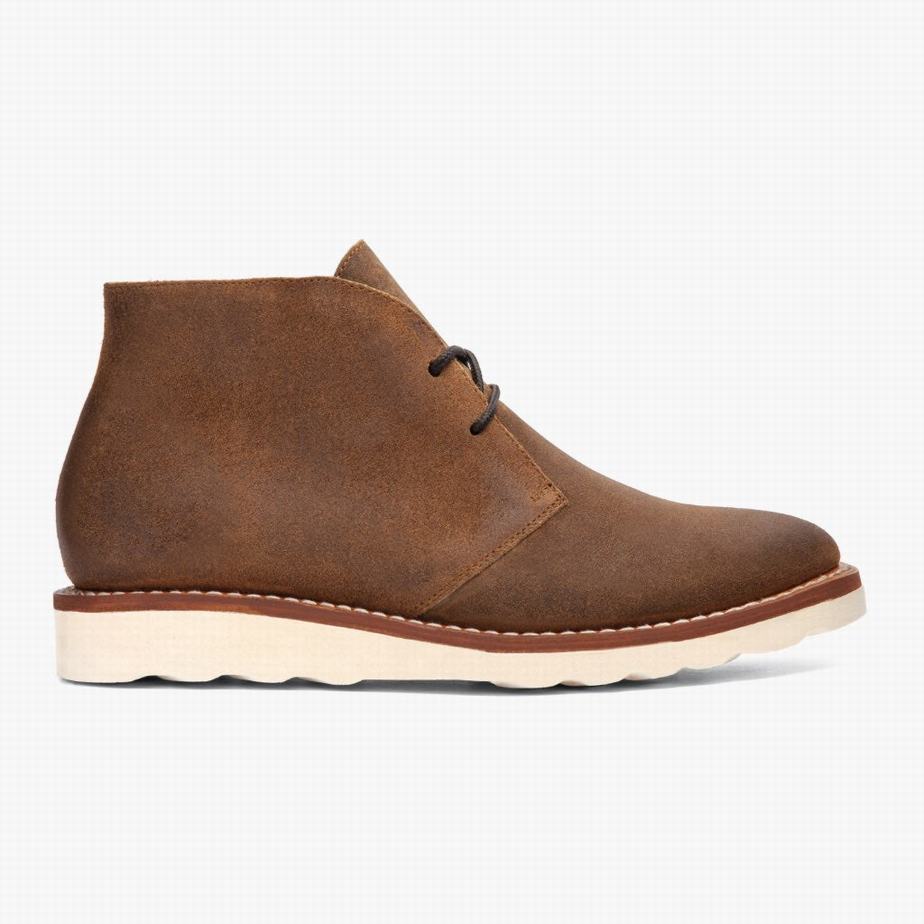 Thursday Boots Scout Chukka Laarzen Heren Safari | PEA6256YT