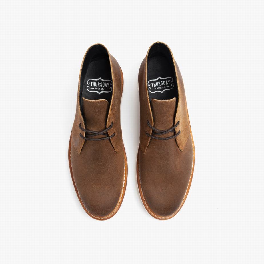 Thursday Boots Scout Chukka Laarzen Heren Safari | PEA6256YT