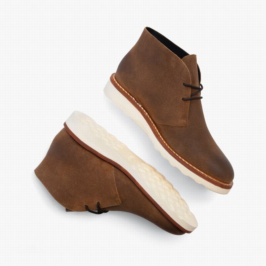 Thursday Boots Scout Chukka Laarzen Heren Safari | PEA6256YT