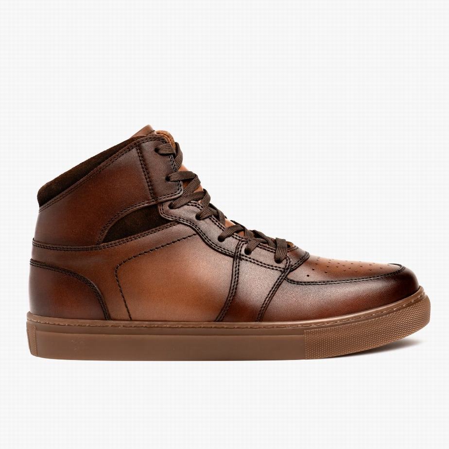 Thursday Boots Showtime Hoge Sneakers Heren Brandy | GSZ675SF